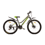 Велосипед Titan BEST MATE 26"13" Сірий-Зелений