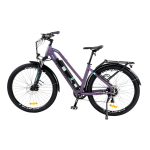 Електровелосипед Alvas RANGER 820L Фіолетовий