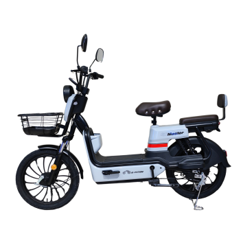 Електроскутер E-Titan Master 20