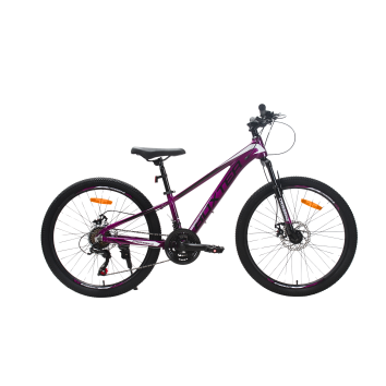 Велосипед CrossBike BOXTER 24