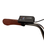 Електровелосипед Titan Neapol 26" 18" Коричневий 350W 36V10Ah з дисплеєм