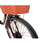 Электровелосипед Titan Neapol 26" 18" Коричневый 350W 36V10Ah с дисплеем