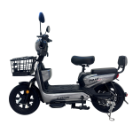 Електроскутер E-Titan Plaid 16" Срібло