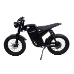 Електровелосипед Titan E-MOTO 20" Чорний (задній) 1000W 48V15,6 Ah.LCD