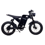 Электровелосипед Titan E-MOTO 20" Черный (задний) 1000W 48V15,6 Ah.LCD